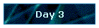 Day 3