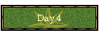 Day 4