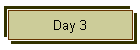 Day 3