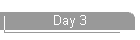 Day 3